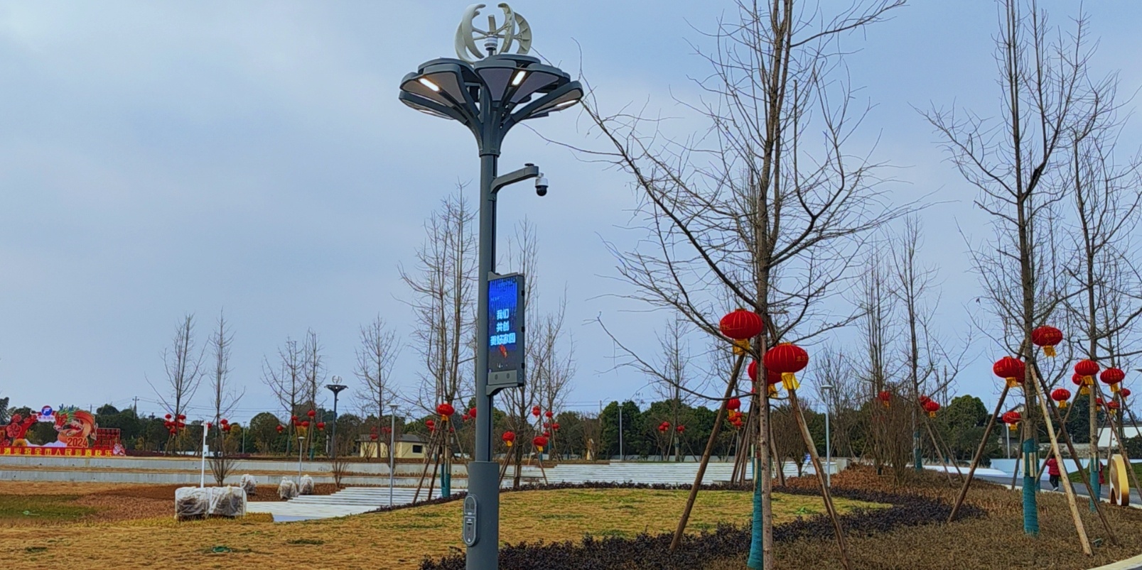 快來圍觀，種在綿竹市城北濕地公園的“智慧樹”亮燈啦